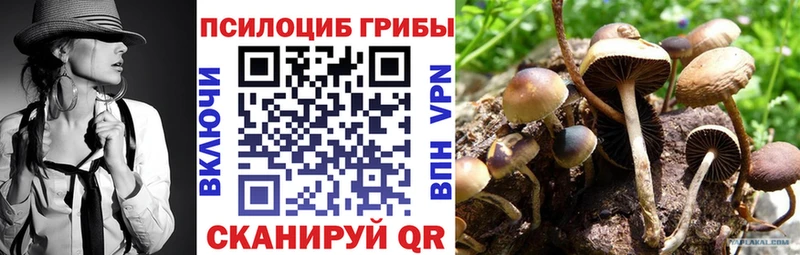 Галлюциногенные грибы Psilocybine cubensis  Волхов 