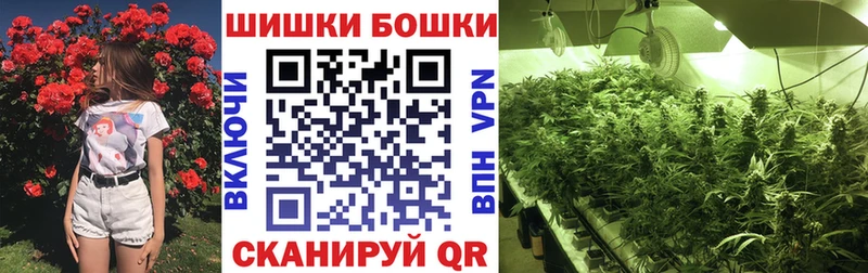 закладки  Волхов  МАРИХУАНА OG Kush 